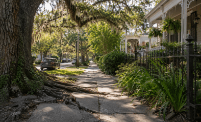 Sunny tree-lined street with historic homes
